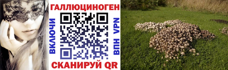 Галлюциногенные грибы Psilocybine cubensis  Купить закладки  Богородицк 