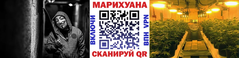 Купить закладки  Богородицк  Конопля White Widow 